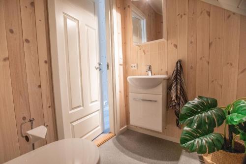 a bathroom with a sink and a mirror and a plant at High standard Lodge Ballstad in Ballstad