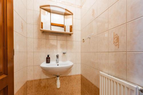 a bathroom with a sink and a mirror at Penzion Věžička in Lázně Bělohrad