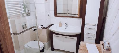 ein Badezimmer mit einem Waschbecken, einem WC und einem Spiegel in der Unterkunft Cosmopolitan Apartament z bezpłatnym, prywatnym parkingiem w hali garażowej in Toruń