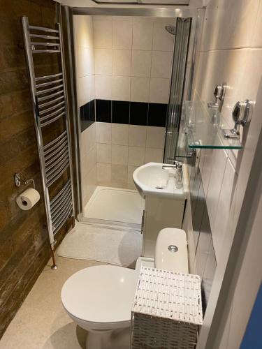 a bathroom with a toilet and a sink and a shower at Plympton Annex - Apartment in Plymouth