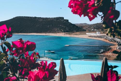 a swimming pool next to a beach with pink flowers at Panormos Village Hotel in Mykonos