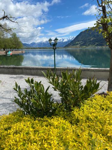 Paisaje cerca de este apartamento