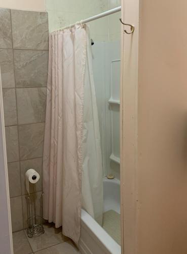 a shower with a shower curtain in a bathroom at Waterside Apts. in Cardigan