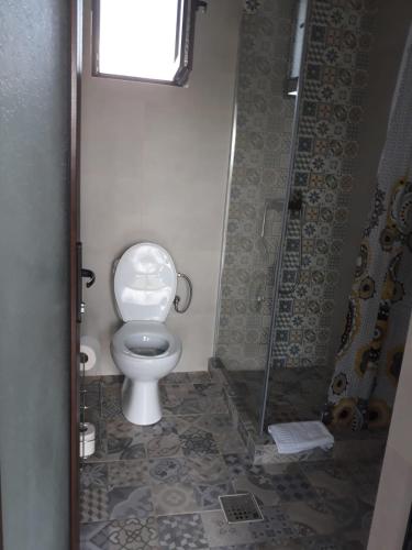 a bathroom with a toilet and a shower at Garden Pypa in Vânătorii Mici