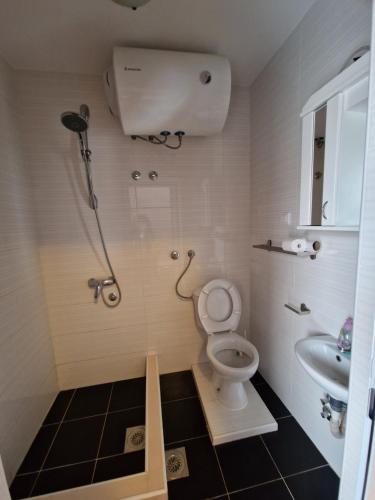 een badkamer met een douche, een toilet en een wastafel bij Apartmani Tina - Srebrno jezero in Zatonje