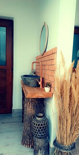 a bathroom with a sink and a mirror on a wall at Garden Pypa in Vânătorii Mici