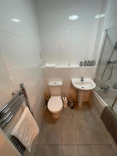 a bathroom with a toilet and a sink at Electra house in Swindon