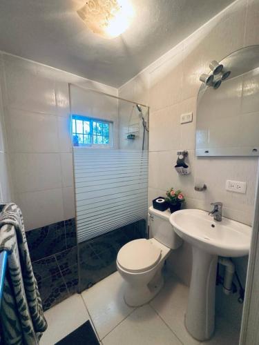 a bathroom with a toilet and a sink and a shower at Casa Vasquez in San Felipe de Puerto Plata