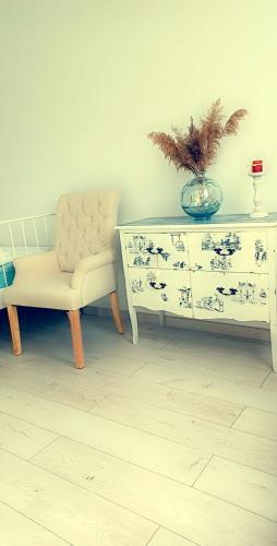 a living room with a chair and a dresser at Garden Pypa in Vânătorii Mici