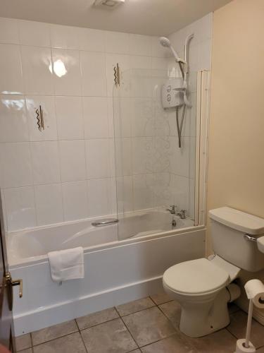 a bathroom with a shower and a toilet and a tub at Greenview in Ballysheedy