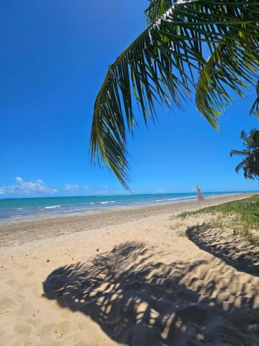 a palm tree casts a shadow on a beach at Casa Caroá - Chalé 1 in Japaratinga