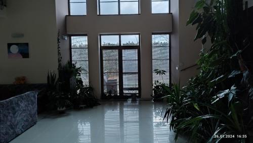 a room with large windows and plants in it at Villa Homestay Nad Helmrovkou in Prague