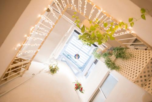 La Casa de las Flores Sevilla