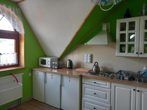 a kitchen with green walls and white cabinets at Agroturystyka Pod Złotą Wiechą in Uście Gorlickie