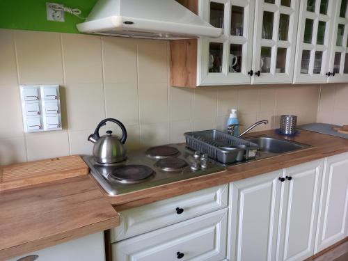a kitchen with a sink and a stove with a tea kettle at Agroturystyka Pod Złotą Wiechą in Uście Gorlickie