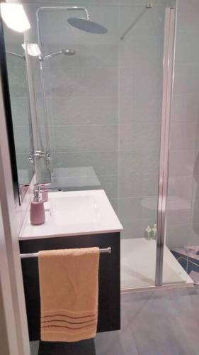 a bathroom with a sink and a shower at Apartamento Playa del Con in Moaña