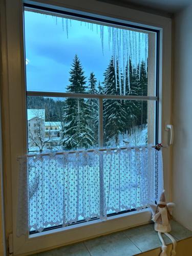 ein Fenster mit Blick auf einen schneebedeckten Wald in der Unterkunft APARTMENT OWL in Kořenov