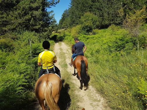 duas pessoas a andar a cavalo por uma estrada de terra em La Mia Valigia “Casetta Fragolina” em Camigliatello Silano