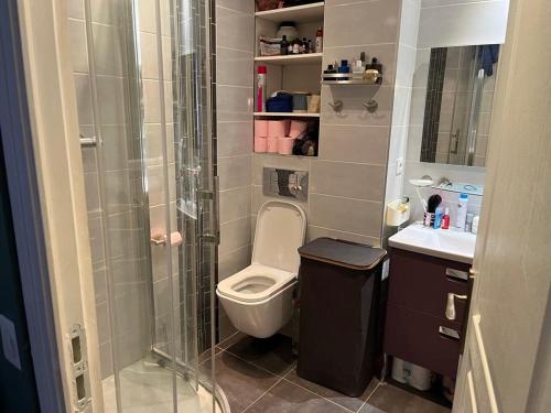 een badkamer met een douche, een toilet en een wastafel bij Appartement à 10mn de Paris - PUTEAUX in Puteaux