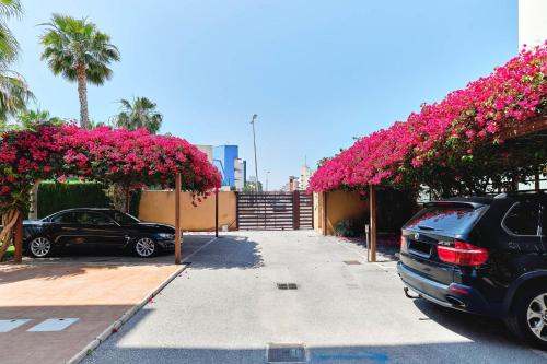 Φωτογραφία από το άλμπουμ του Seaside apartment Cabo Roig σε Cabo Roig