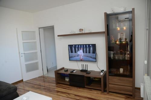 uma sala de estar com uma televisão de ecrã plano na parede em Irina Lux Apartment em Negotin