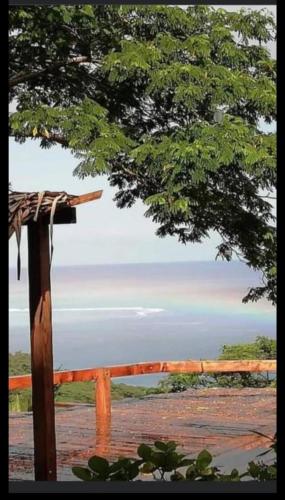 a view of the ocean from under a tree at L'Auberge Polynésienne in Tevaitoa