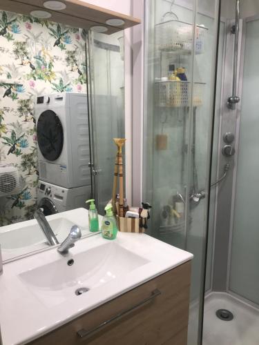 une salle de bain avec un lavabo et une douche dans l'établissement Maison reposante plein sud sans vis à vis avec piscine, à Le Châtelet-en-Brie
