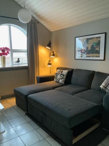 sala de estar con sofá y ventana en Stay Iceland apartments - S 24, en Garðabær