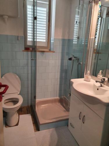 a bathroom with a shower and a toilet and a sink at Heavenly House by the sea in Savudrija