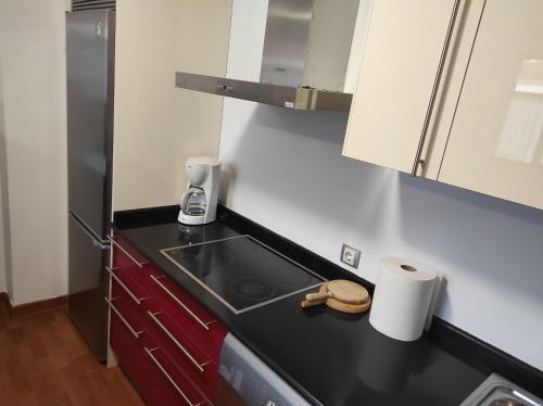 Una pequeña cocina con estufa y fregadero. en Dúplex Parque Europa II, en Ezcaray