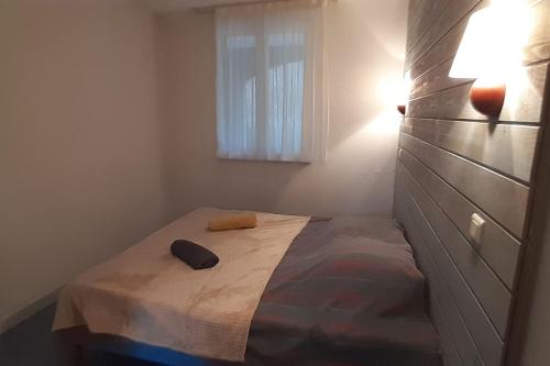 Bielle, grand appartement 38m2, piscine, 4 pers, couchages 160x200