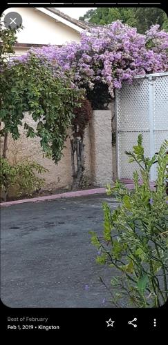 uma cerca com flores roxas ao lado de uma casa em The Cliff Apartments em Beverly Hills