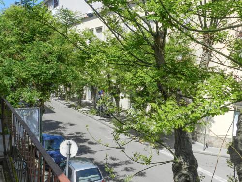 a tree on the side of a street with a car at Actinia Accommodation in Alghero