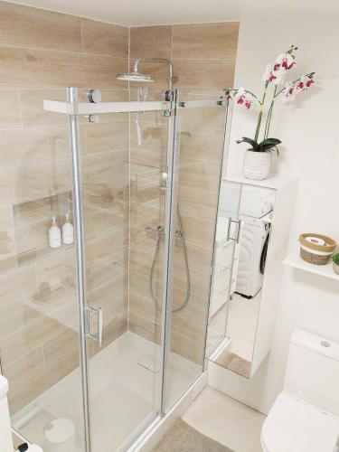a shower with a glass door in a bathroom at Escapade au cœur de Luce chartres in Luce