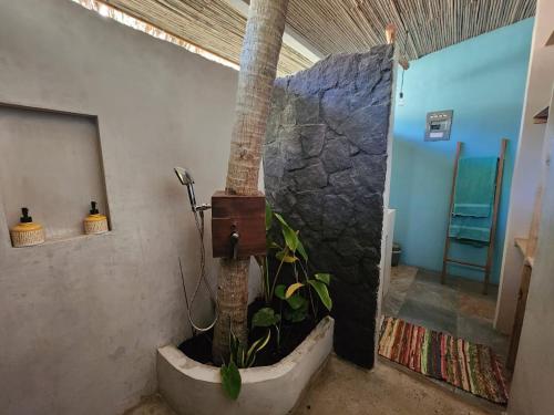 a bathroom with a palm tree in a bath tub at Villas Pura Vibra in Potrero