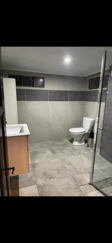 ein Bad mit einem WC und einem Waschbecken in der Unterkunft Appartement de charme in Longvic