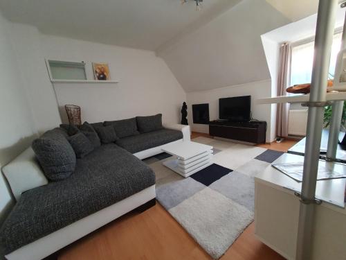 ein Wohnzimmer mit einem Sofa und einem TV in der Unterkunft Apartment am Südpark Erfurt in Erfurt