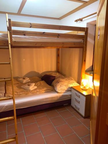 1 Schlafzimmer mit 2 Etagenbetten in einem Zimmer in der Unterkunft Ferienhaus Almenland in Arzberg
