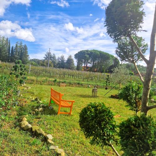 a wooden bench sitting in a field of grass at Wine House in Capannori