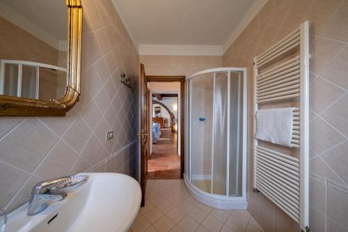 y baño con lavabo, espejo y ducha. en Agriturismo Casetta, en Gavorrano