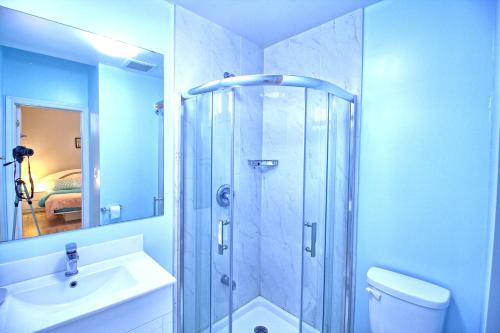 a bathroom with a shower and a toilet and a sink at Bright Basement & Private Bathroom, free Parking in Vaughan