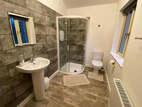 a bathroom with a shower and a sink and a toilet at Carrickamore Cottage in Boyle