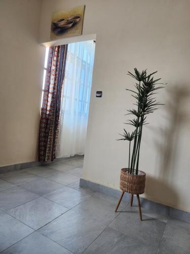 a plant in a basket in a room with a doorway at Home away from Home in Cococodji