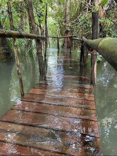 a wooden bridge in the middle of a body of water at Tortugal Boutique River Lodge in Rio Dulce