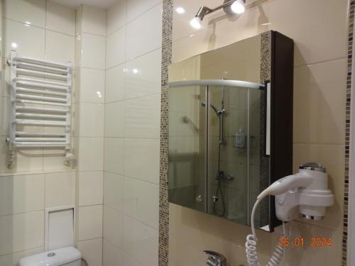 y baño con ducha, lavabo y espejo. en Apartament Wspólna 59 Warszawa, en Varsovia