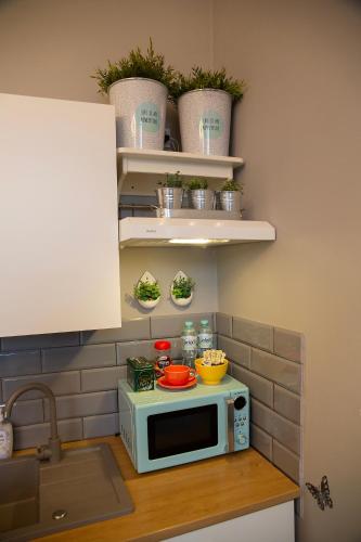a microwave sitting on a counter in a kitchen at Apartament u Olechny in Bydgoszcz
