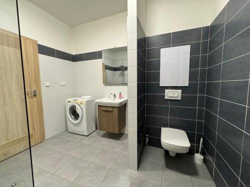 a bathroom with a toilet sink and a washing machine at Wellness & Spa Apartments Lipno - Frymburk in Frymburk