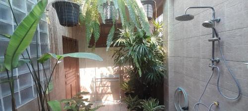 a bathroom with a bunch of plants and a shower at Pasak River House Home stay 