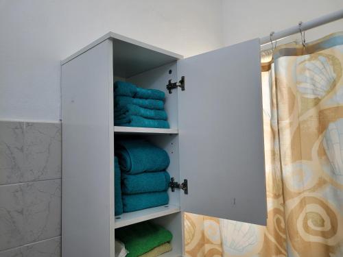 a bathroom with blue towels in a shower at Casa en Montaña 2 habitaciones con cochera, apto mascotas in Villa Carlos Paz