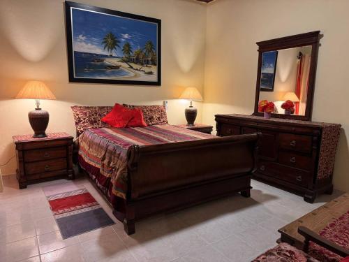 a bedroom with a bed and a dresser and a mirror at Residencia Foreman De La Paz in Santo Domingo